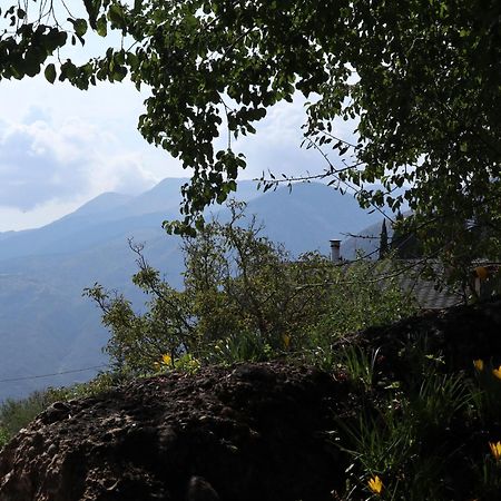 Μικρή Ζήρεια Ενοικιαζόμενη Κατοικία Synikia Mesi Trikalon 외부 사진