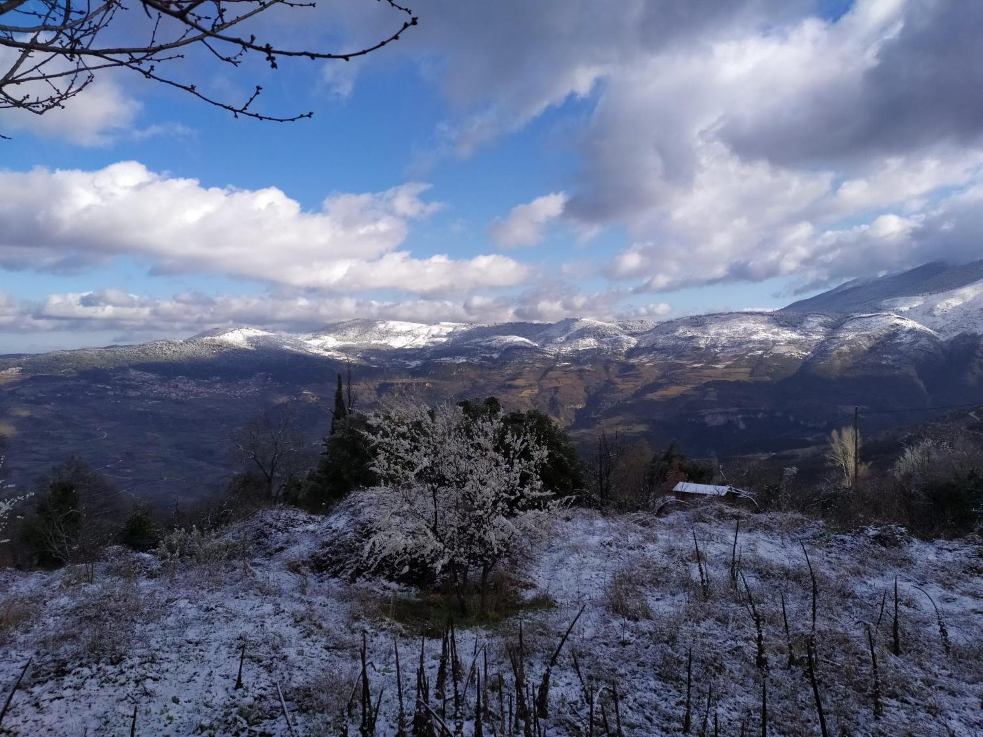Μικρή Ζήρεια Ενοικιαζόμενη Κατοικία Synikia Mesi Trikalon 외부 사진