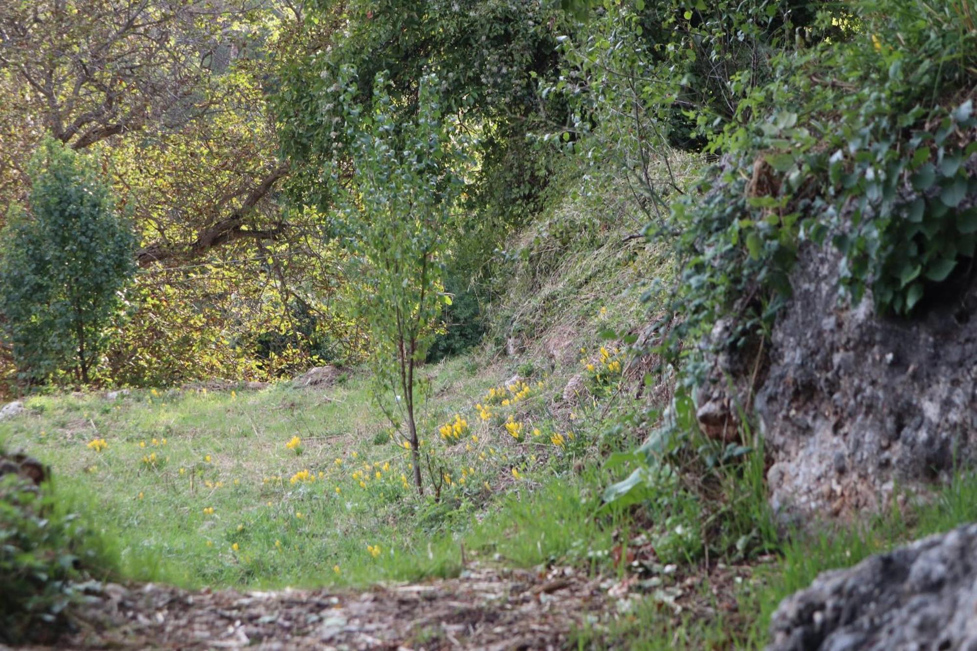 Μικρή Ζήρεια Ενοικιαζόμενη Κατοικία Synikia Mesi Trikalon 외부 사진