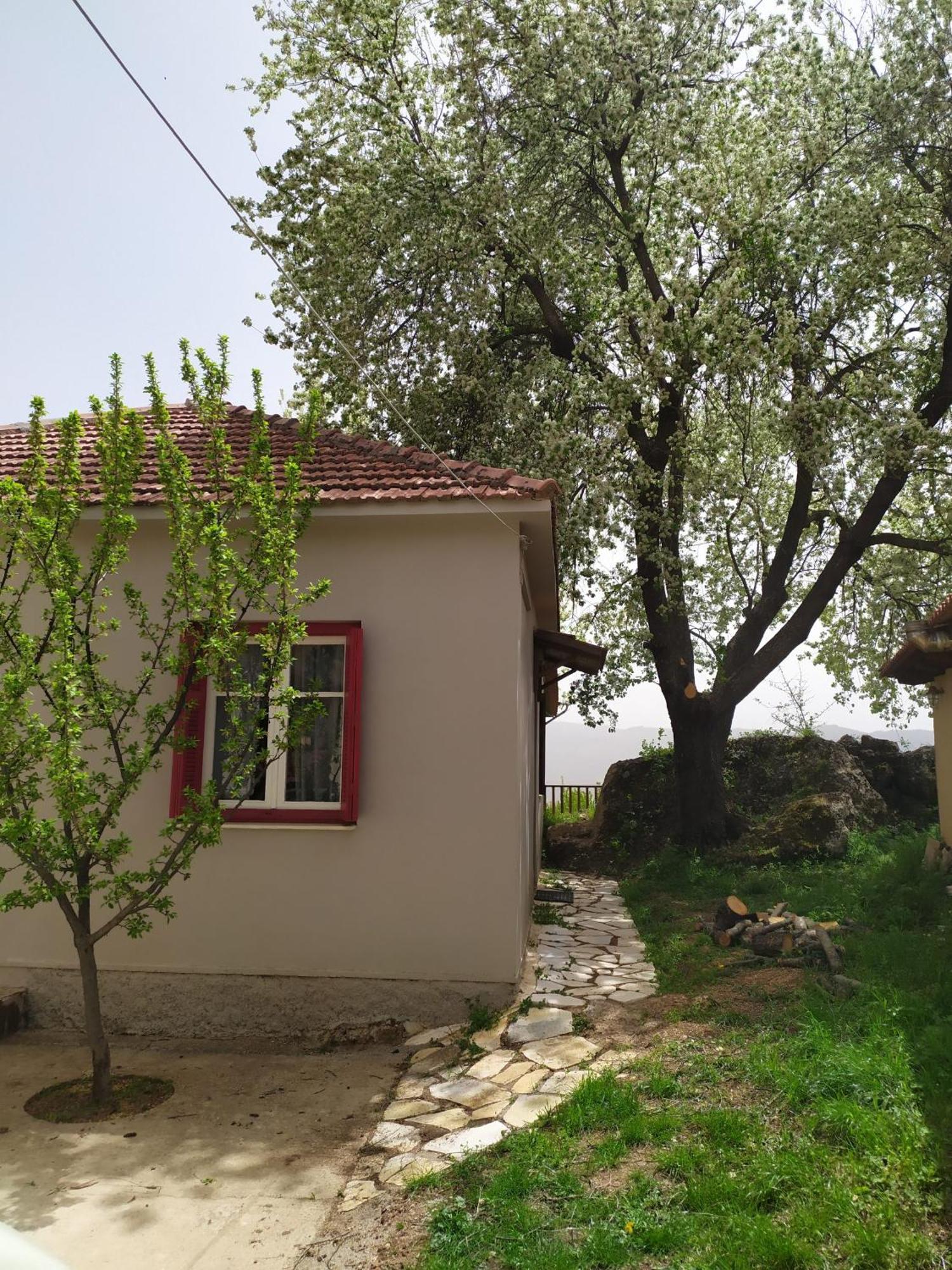 Μικρή Ζήρεια Ενοικιαζόμενη Κατοικία Synikia Mesi Trikalon 외부 사진